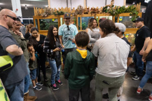 buy snakes at the reptile super show